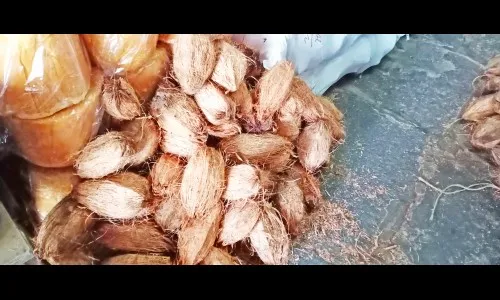 उत्पादन घटल्याने नारळ दर गगनाला