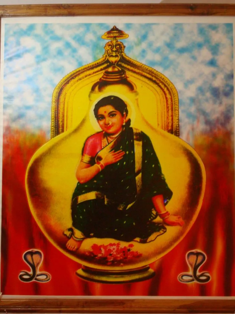 कोरोनाचे संकट टळू दे आणि जत्रा निर्विघ्नपणे पार पडू दे !