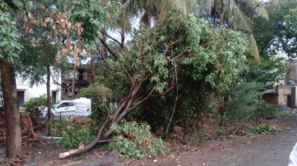 भिलवडी परिसरामध्ये वादळी पावसामुळे मोठे नुकसान