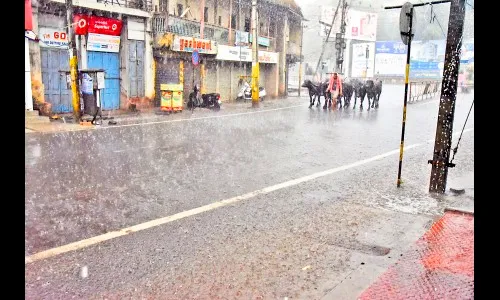 वळिवाने शहर परिसराला झोडपले