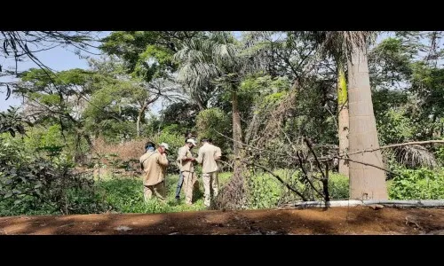 नऊ तासांच्या प्रयत्नानंतर विज पुरवठा सुरळीत