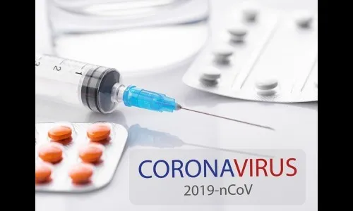 भारतात लसीची ऍनिमल ट्रायल सुरू