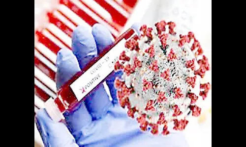 आता संघर्ष नको, सहकार्य हवे