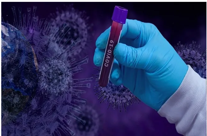 मुंबई : एकाच आय टी कंपनीतील 19 जणांना कोरोनाची बाधा