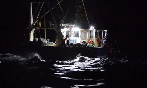 एलईडी ट्रॉलर्सचा पुन्हा धुमाकूळ