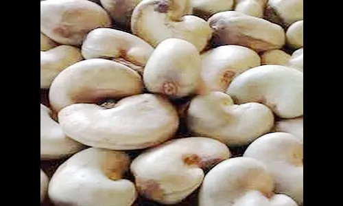 जिल्हा बँकेच्या गुंतवणुकीने सोसायटय़ांनी काजू बी खरेदी करावी