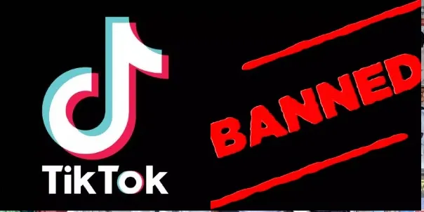 केंद्र सरकारचा मोठा निर्णय, टिकटॉकसह 59 चिनी अॅपवर बंदी