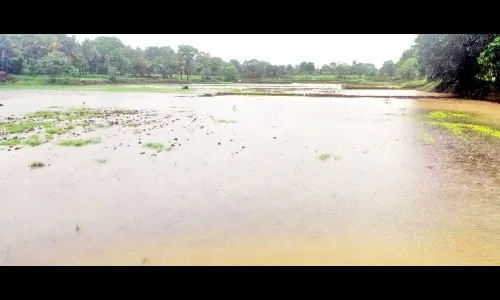 तालुक्यात मुसळधार पावसाची हजेरी