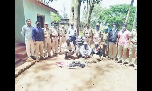 कित्तूरनजीक कासवांची तस्करी करणाऱया तिघांना अटक