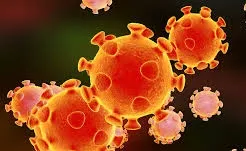 कोल्हापुरात कोरोना पॉझिटिव्ह रुग्णसंख्या 713 वर, तीन नवे रुग्ण