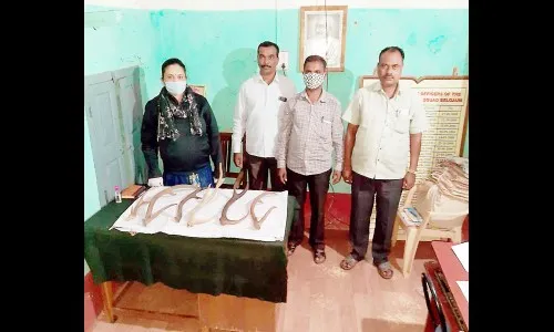 गांधीनगर जवळ हरणांची शिंगे जप्त