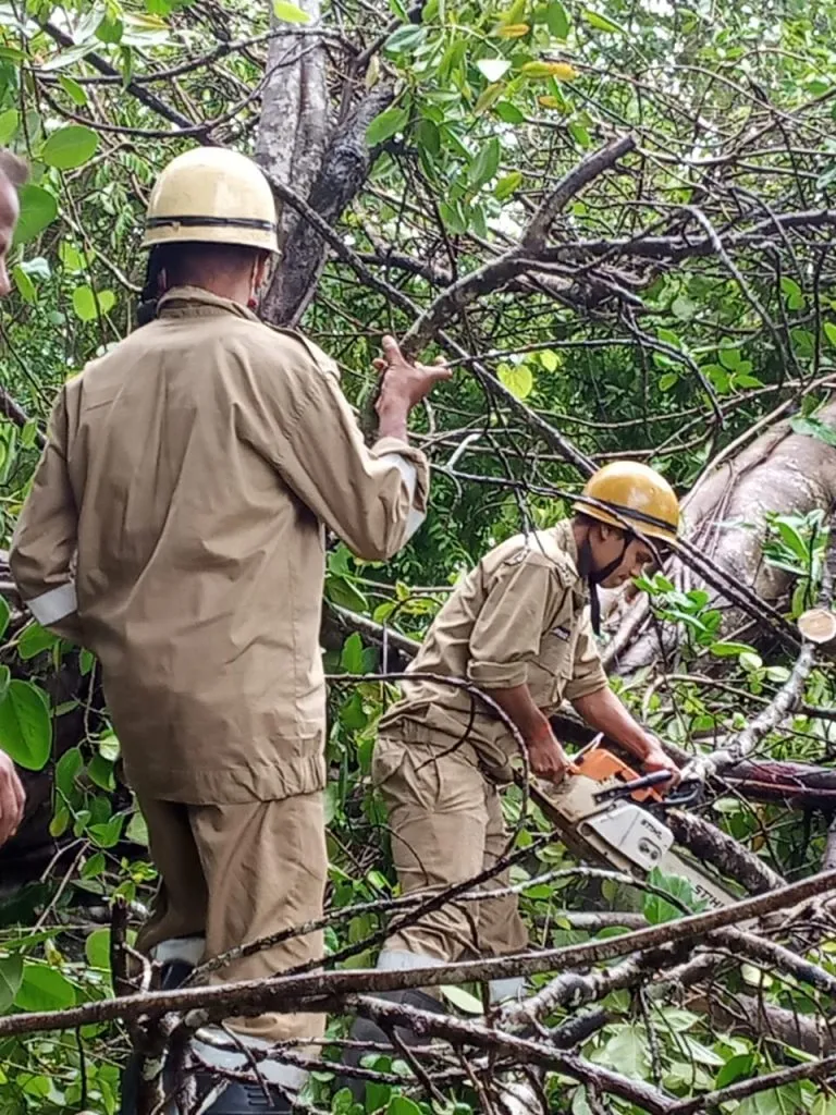कासरवर्णे येथे मंदिराच्या कंपाऊंडवर झाड पडून नुकसानी