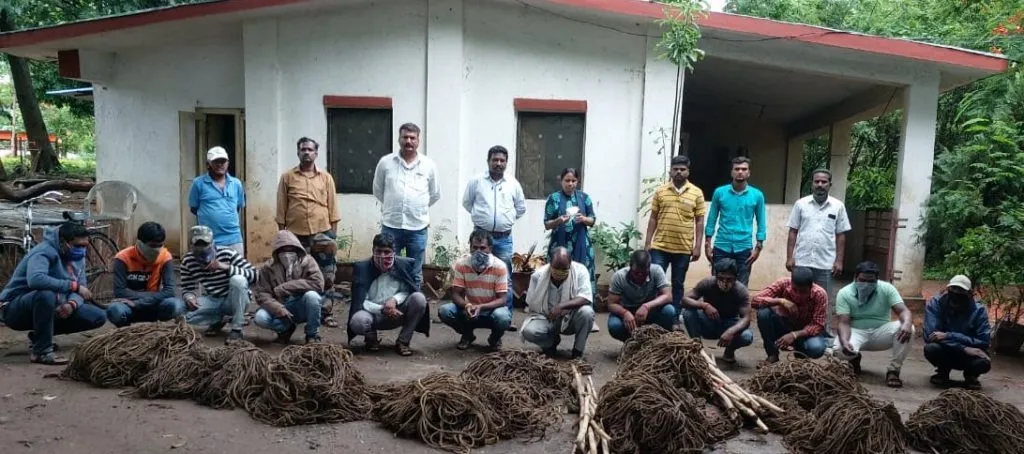 शिकारीचं वनविभागाच्या जाळ्यात ; १२ संशयित ताब्यात