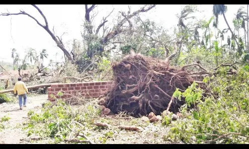 ‘निसर्ग’ च्या लढाईत सरकारी मर्यादा उघड