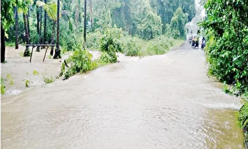 जिल्हय़ात पावसाने दाणादाण