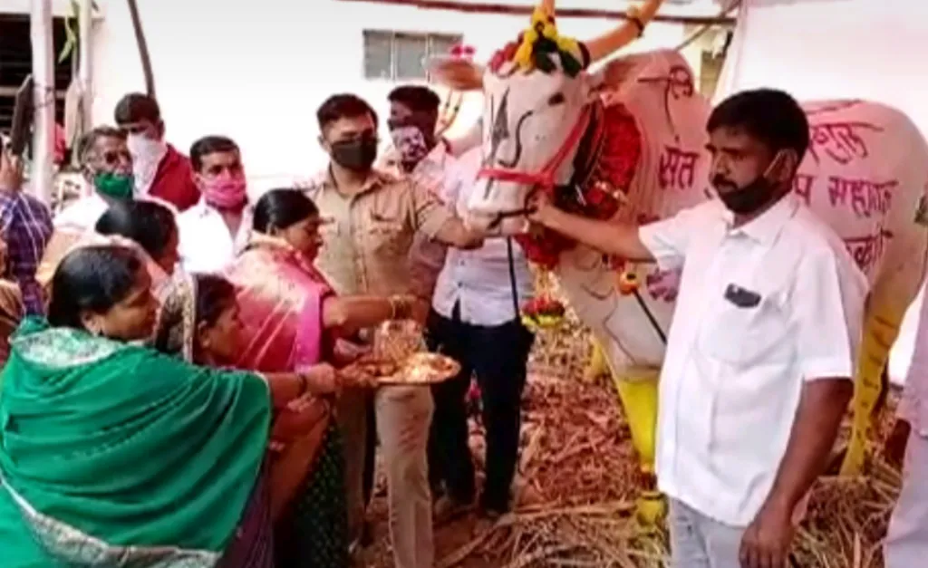 सातारा : कोरोनाच्या सावटाखाली बेंदूर साधेपणाने साजरा