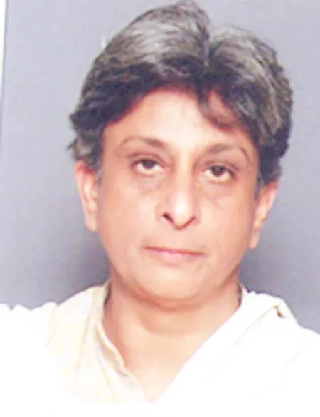 अंटार्क्टिकावरचं मराठी पाऊल