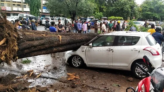 कोल्हापुरात जोरदार पाऊस; झाडांची पडझड