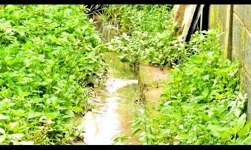 महाद्वार रोडवरील नाला-गटारीतील पाणी रस्त्यावर