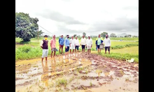 थेट बांधावरच अधिकाऱयांचे शेतकऱयांना मार्गदर्शन