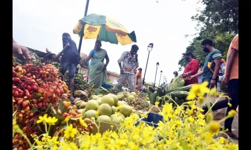 कोरोनाच्या सावटाखालीही गणेशोत्सवाचा उत्साह