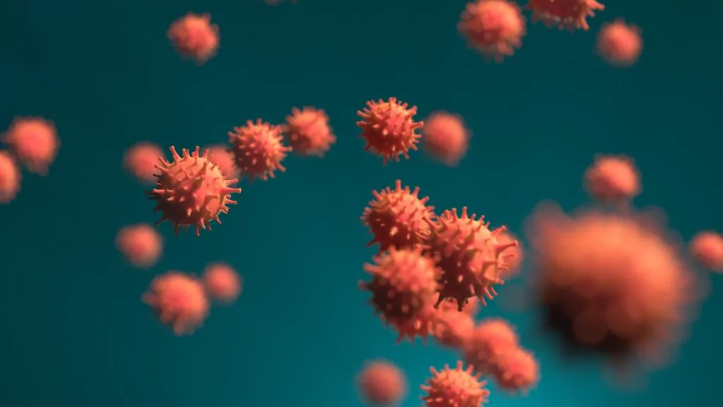 सातारा जिल्ह्यातील 141 संशयितांचे अहवाल कोरोना पॉझिटिव्ह