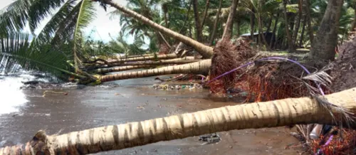 रत्नागिरी :भाट्ये किनाऱ्यावर समुद्राच्या उधाणाने मोठे नुकसान