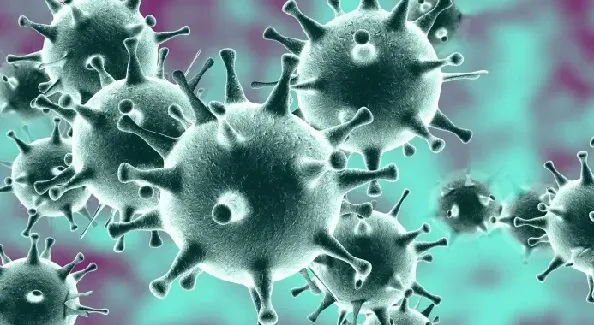 सांगली जिल्ह्यात 924 कोरोनामुक्त, 697 नवे रूग्ण, 28 बळी