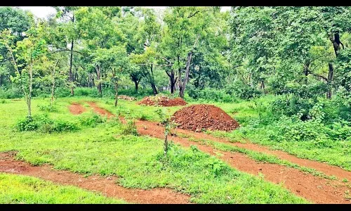 व्हॅक्सिन डेपो ठरतोय डंपिंग ग्राऊंड