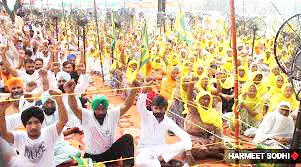 शेतकरी स्वातंत्र्य आणि महाराष्ट्र!