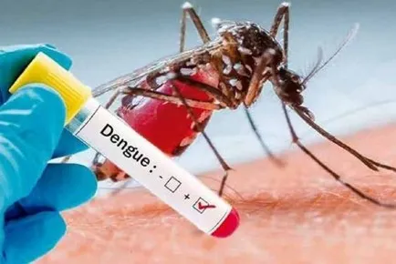 The committee will investigate the deaths of dengue patients