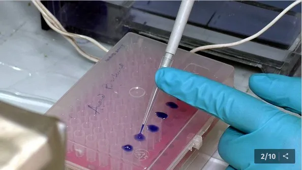 भारतीयांची ‘सेल्फ इम्युनिटी’ ठरतेय वरचढ