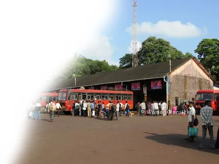 पूर्ण क्षमतेने एस.टी.सेवा सुरू