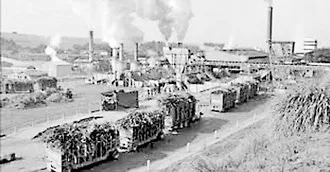 मुकुटाखाली दडलेत सारेच!