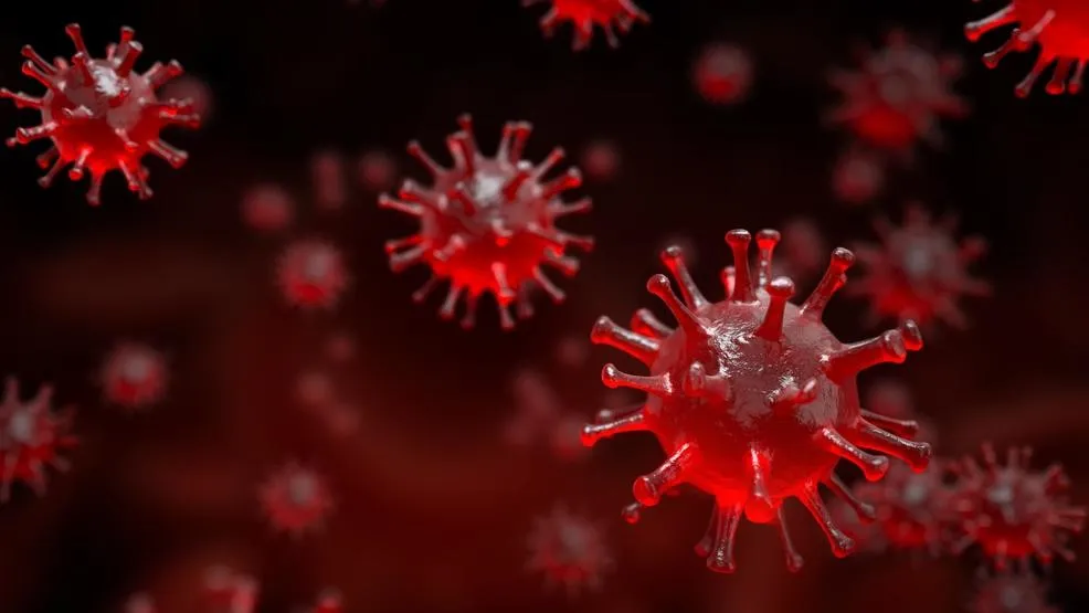 सोलापूर : जिल्ह्यातील ग्रामीण भागात 151 रुग्ण कोरोनामुक्त