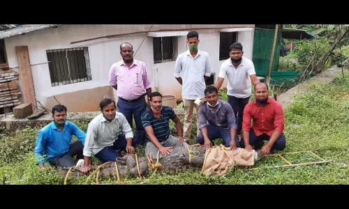 लोकवस्तीजवळ आलेल्या मगरीची सुटका