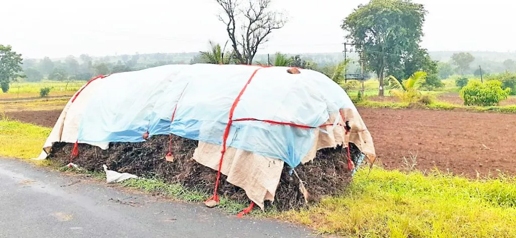 परतीच्या पावसामुळे शेतकऱयांची कामे ठप्प