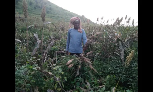 बळीराजाचे अतोनात नुकसान