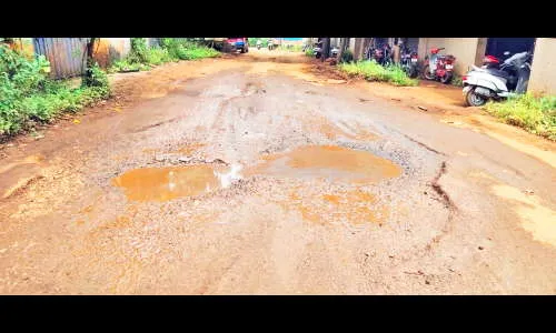 उद्यमबाग औद्योगिक वसाहतीमधील रस्त्यांची दुर्दशा