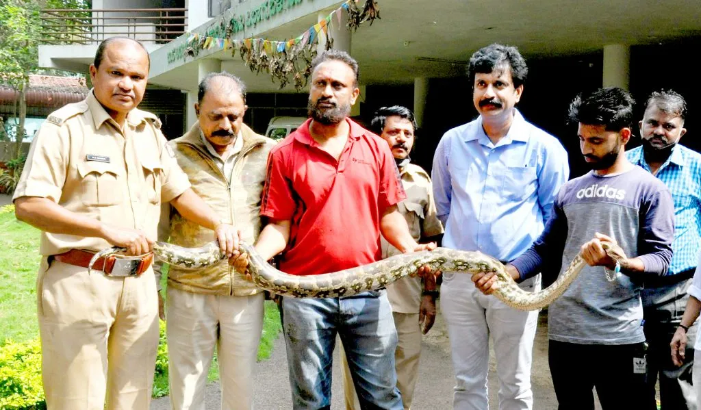 …अखेर अजगर सापडला