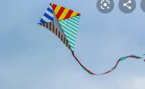 सातारा : पतंग स्पर्धा जोमात पक्षी मात्र कोमात