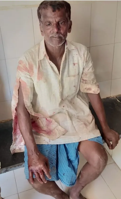 बेनापुरात लांडग्यांच्या हल्ल्यात शेतकरी गंभीर जखमी