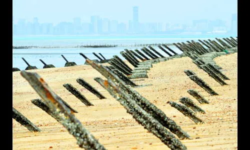 चीनला रोखण्यासाठी तैवानची अनोखी शक्कल