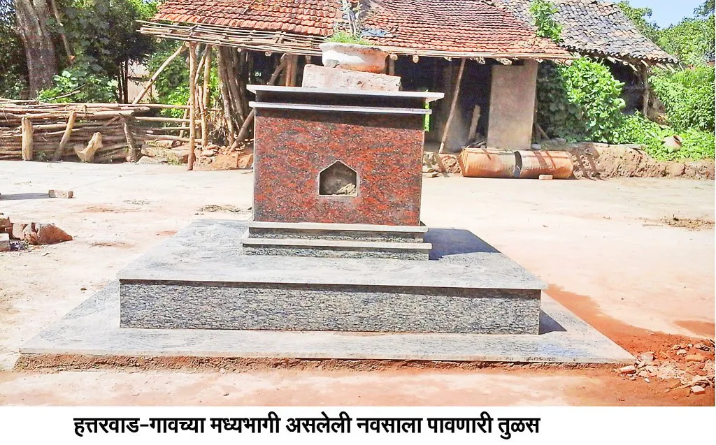 ‘तुळशी विवाह’ यावषी होणार साधेपणाने