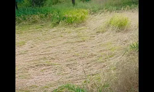 अतिवृष्टीतील नुकसान भरपाईसाठी राजापूर तालुक्याला 65 लाख रू. अनुदान प्राप्त