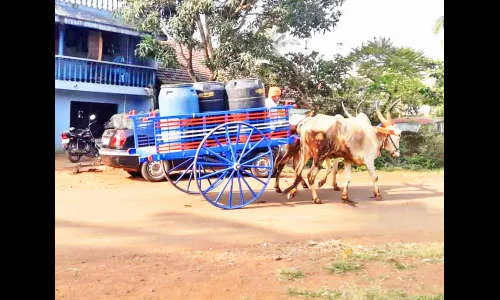 कणबर्गी गावात पिण्याच्या पाण्याची भीषण टंचाई