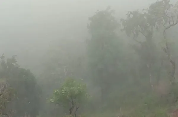 दापोलीकरांना भरली हुडहुडी, पारा 11.2 अंशावर