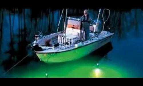 एलईडी मासेमारीवरील कारवाईसाठी साकडे