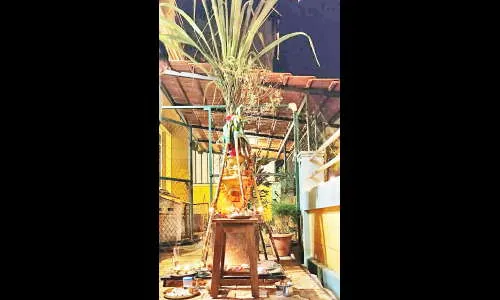 शहरात तुळशी विवाहाचा सोहळा उत्साहात