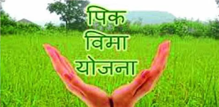 रत्नागिरी जिल्ह्यातील शेतकर्यांना 13 लाख 12 हजारांचा वीमा परतावा